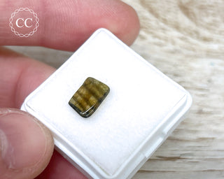Liddicoatite Tourmaline Slice #13