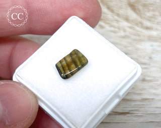 Liddicoatite Tourmaline Slice #13