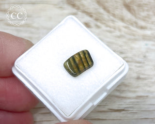 Liddicoatite Tourmaline Slice #13