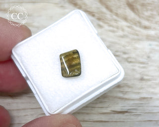 Liddicoatite Tourmaline Slice #13