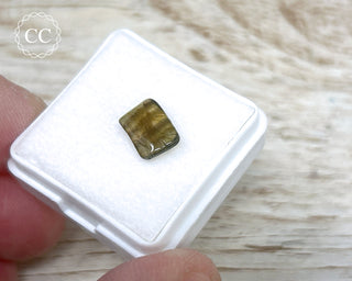 Liddicoatite Tourmaline Slice #13