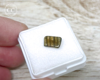 Liddicoatite Tourmaline Slice #13