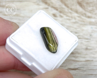 Liddicoatite Tourmaline Slice #14