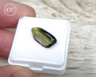 Liddicoatite Tourmaline Slice #14