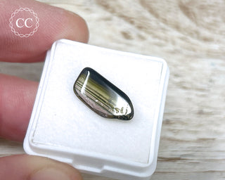 Liddicoatite Tourmaline Slice #14