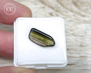 Liddicoatite Tourmaline Slice #14