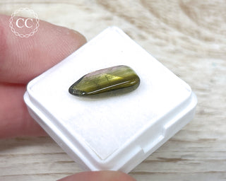 Liddicoatite Tourmaline Slice #14