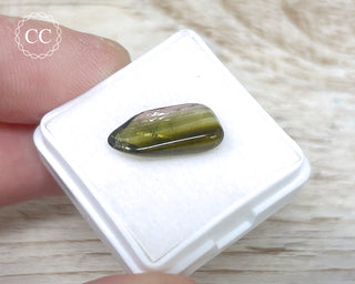 Liddicoatite Tourmaline Slice #14