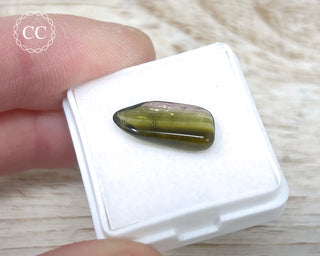 Liddicoatite Tourmaline Slice #14