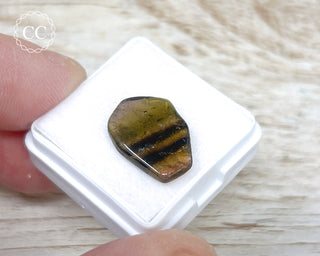 Liddicoatite Tourmaline Slice #16