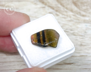 Liddicoatite Tourmaline Slice #16