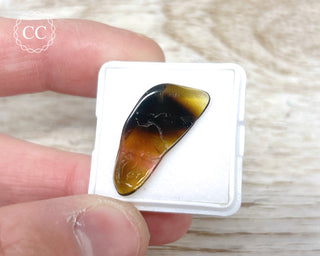 Liddicoatite Tourmaline Slice #1