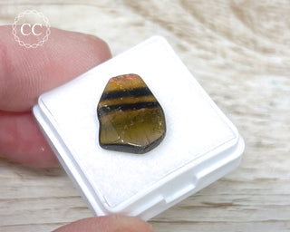 Liddicoatite Tourmaline Slice #16