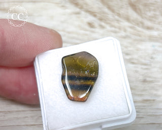 Liddicoatite Tourmaline Slice #16