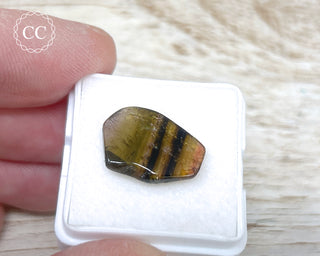 Liddicoatite Tourmaline Slice #16