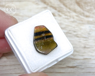 Liddicoatite Tourmaline Slice #16