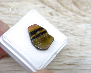 Liddicoatite Tourmaline Slice #16