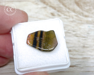 Liddicoatite Tourmaline Slice #16