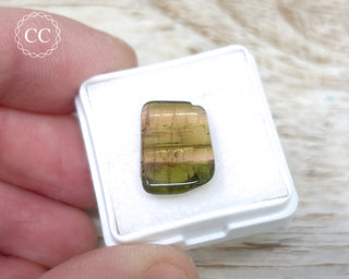Liddicoatite Tourmaline Slice #17