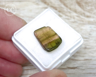 Liddicoatite Tourmaline Slice #17
