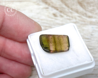 Liddicoatite Tourmaline Slice #17