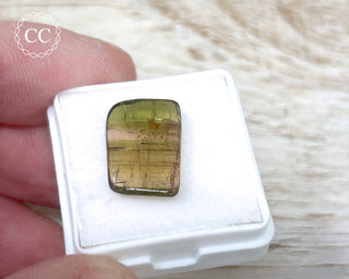 Liddicoatite Tourmaline Slice #17