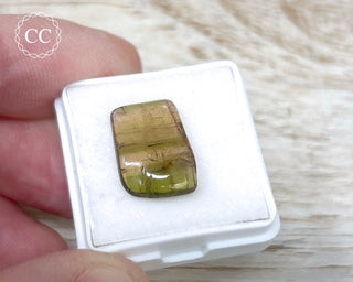 Liddicoatite Tourmaline Slice #17