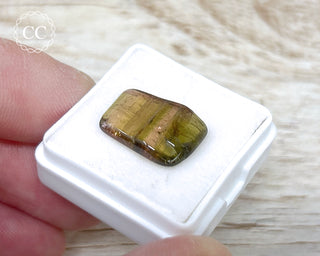 Liddicoatite Tourmaline Slice #17