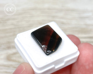 Liddicoatite Tourmaline Slice #3