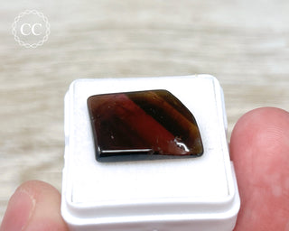 Liddicoatite Tourmaline Slice #3