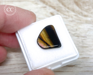 Liddicoatite Tourmaline Slice #19