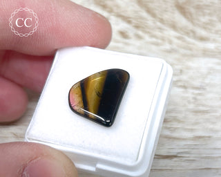 Liddicoatite Tourmaline Slice #19