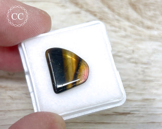 Liddicoatite Tourmaline Slice #19