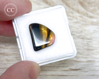 Liddicoatite Tourmaline Slice #19