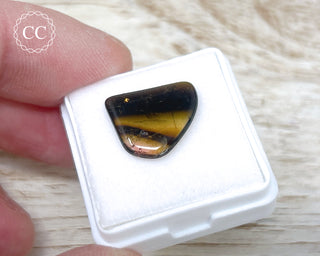 Liddicoatite Tourmaline Slice #19