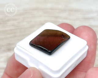 Liddicoatite Tourmaline Slice #3