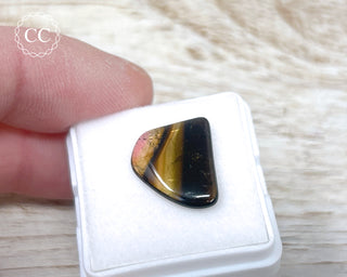 Liddicoatite Tourmaline Slice #19