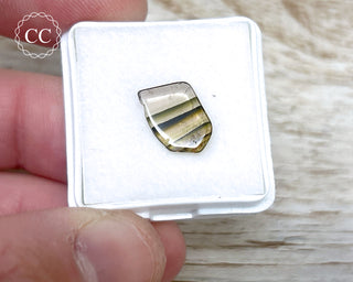Liddicoatite Tourmaline Slice #20