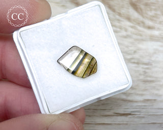 Liddicoatite Tourmaline Slice #20