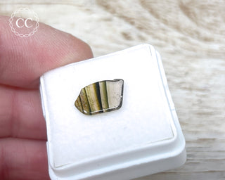 Liddicoatite Tourmaline Slice #20