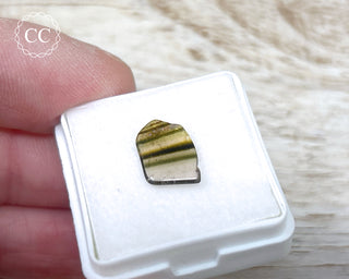 Liddicoatite Tourmaline Slice #20