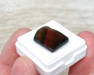 Liddicoatite Tourmaline Slice #3