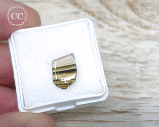 Liddicoatite Tourmaline Slice #20