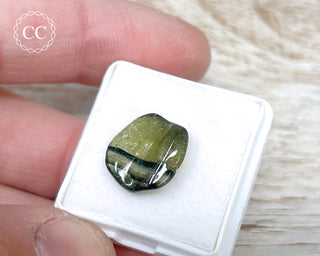 Liddicoatite Tourmaline Slice #21