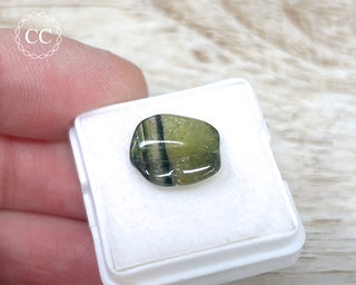 Liddicoatite Tourmaline Slice #21