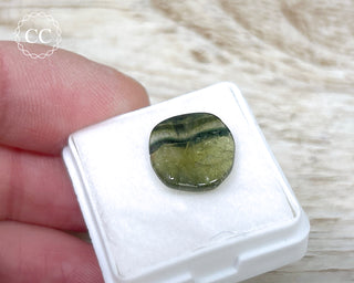 Liddicoatite Tourmaline Slice #21