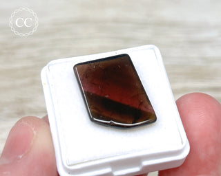 Liddicoatite Tourmaline Slice #3