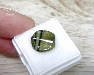 Liddicoatite Tourmaline Slice #21