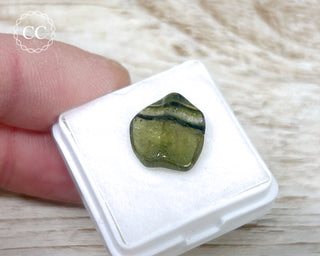 Liddicoatite Tourmaline Slice #21