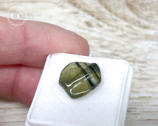 Liddicoatite Tourmaline Slice #21